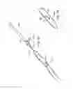 Fig. 22 - Systems, methods and devices relating to delivery of medical implants
