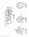 Fig. 49 - Systems, methods and devices relating to delivery of medical implants