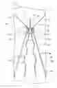 Fig. 01 - Recoilable thrombosis filtering device and method