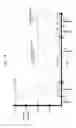 Fig. 09 - High frequency vagal blockage therapy