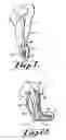 Fig. 02 - Osmotic membrane and vacuum system for artificial limb