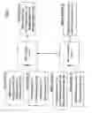 Fig. 03 - Automatic adjusting apparatus for adjustable equipments