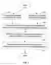 Fig. 04 - Calculating confidence levels for peptide and protein identification