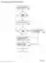 Fig. 22 - Single courier model for the delivery of goods ordered by the internat
