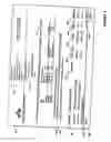 Fig. 07 - Method for the prepayment of customs duties