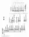 Fig. 09 - Recording medium, method of controlling file of the recording medium, and method and apparatus for reproducing the same