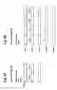 Fig. 09 - Data representation and retrieval method and apparatus for high speed data search and retrieval