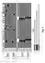 Fig. 02 - Parallel-aware, dedicated job co-scheduling within/across symmetric multiprocessing nodes