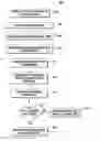 Fig. 01 - Multi-tiered structure for file sharing based on social roles
