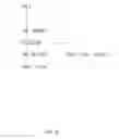 Fig. 04 - Executing filter subqueries using a parallel single cursor model