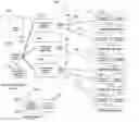 Fig. 01 - Systems and methods for synchronizing data between communication devices in a networked environment