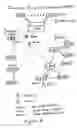 Fig. 07 - Method and system for user created personal private network (PPN) with secure communications and data transfer