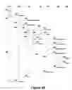 Fig. 07 - Methods, systems and computer program products for providing tree diagram graphical user interfaces having secondary expansion capabilities