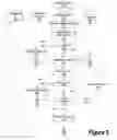 Fig. 06 - System and method for selection of translation routine for versioned data