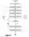 Fig. 07 - System and method for selection of translation routine for versioned data