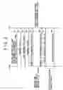 Fig. 03 - Information processing apparatus and a cellular phone