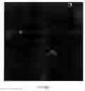 Fig. 07 - Long-term cell culture compositions and genetically modified animals derived therefrom