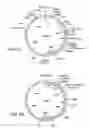 Fig. 03 - Methods and compositions for the production of stably transformed, fertile monocot plants and cells thereof