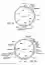 Fig. 04 - Methods and compositions for the production of stably transformed, fertile monocot plants and cells thereof