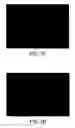 Fig. 33 - Methods and compositions for the production of stably transformed, fertile monocot plants and cells thereof