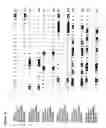 Fig. 09 - Methods and means for modification of plant characteristics using the vernalization gene VRN2