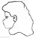 Fig. 01 - Ear Muff Twisty