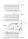 Fig. 04 - Headgear