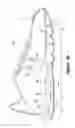 Fig. 28 - Article of footwear having a fluid-filled bladder with a reinforcing structure