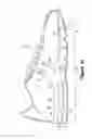 Fig. 28 - Article of footwear having a fluid-filled bladder with a reinforcing structure