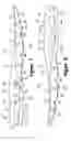 Fig. 08 - Fluid-filled bladder with a reinforcing structure