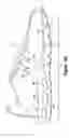 Fig. 28 - Article of footwear having a fluid-filled bladder with a reinforcing structure