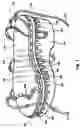 Fig. 02 - Shoe having a variety of lacing styles