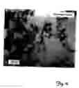 Fig. 09 - Aluminum oxide particles