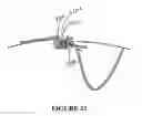 Fig. 43 - Laundry appliance