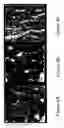 Fig. 07 - Inducing sterility in fish by disrupting the development of the GnRH system