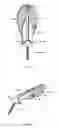 Fig. 07 - Dental flosser