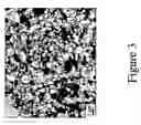 Fig. 04 - Metallic alloy nanocomposite for high-temperature structural components and methods of making