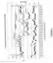 Fig. 02 - Process for bleaching Kraft pulp