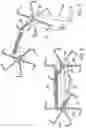 Fig. 05 - Highly mobile robots that run and jump