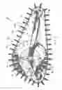 Fig. 03 - Track assembly for an all-terrain vehicle