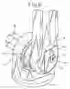 Fig. 07 - Lubricant draining device