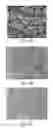 Fig. 02 - Method and apparatus for attaching nanostructure-containing material onto a sharp tip of an object and related articles