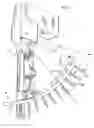 Fig. 04 - Holding strap for curved screwstrip