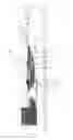 Fig. 05 - Apparatus and process for taking up particles from a water surface