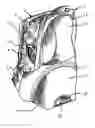 Fig. 01 - Frame-supported packs