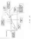 Fig. 11 - Photodetection circuit and confocal microscope that has it