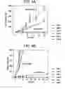 Fig. 05 - Sensor devices containing co-polymer substrates for analysis of chemical and biological species in water and air