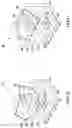 Fig. 08 - Method and system for three dimensional tomosynthesis imaging
