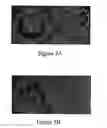 Fig. 04 - Matrix with noise reduction additive and disposable target containing the same