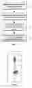 Fig. 02 - Method for shading an optical sensing element such as in a scanner